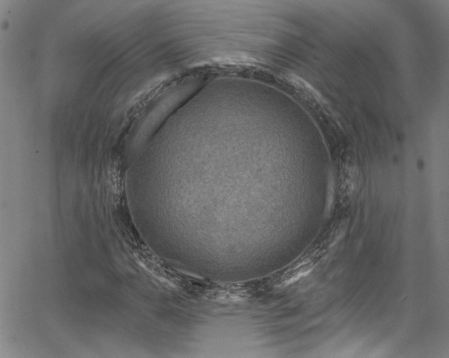 X0000067921110200604131401