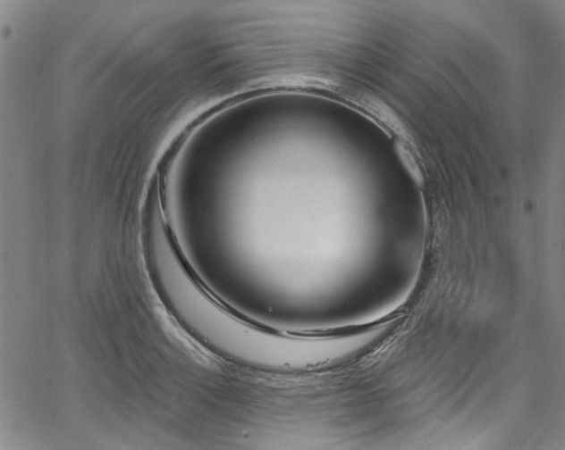 X0000067921132200604131402