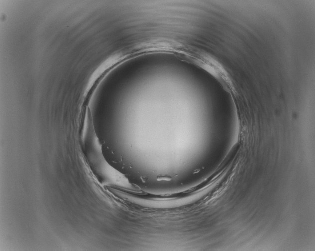 X0000067921146200604131402