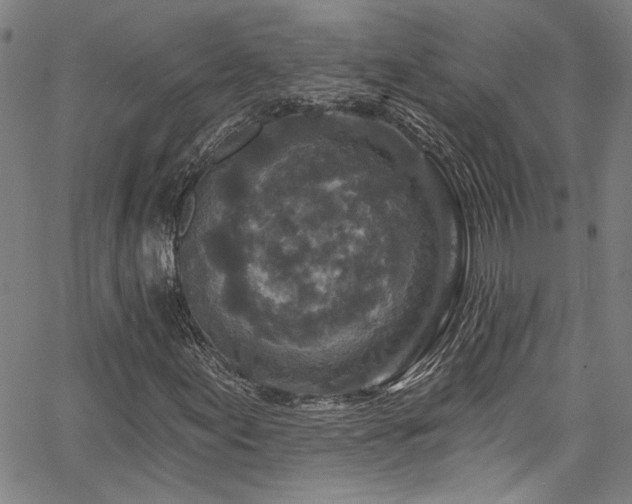 X0000067921155200604131401