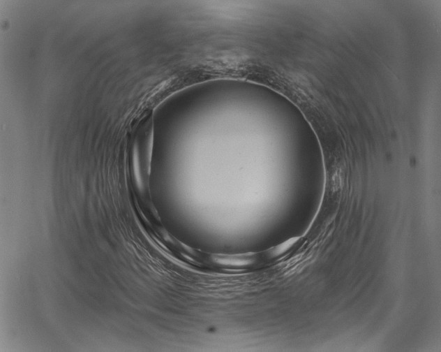 X0000067921156200604131401