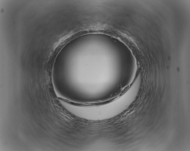X0000067921160200604131401