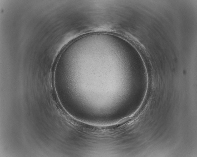 X0000067921174200604131401