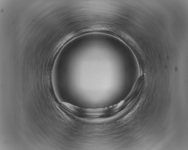 X0000067921177200604131401