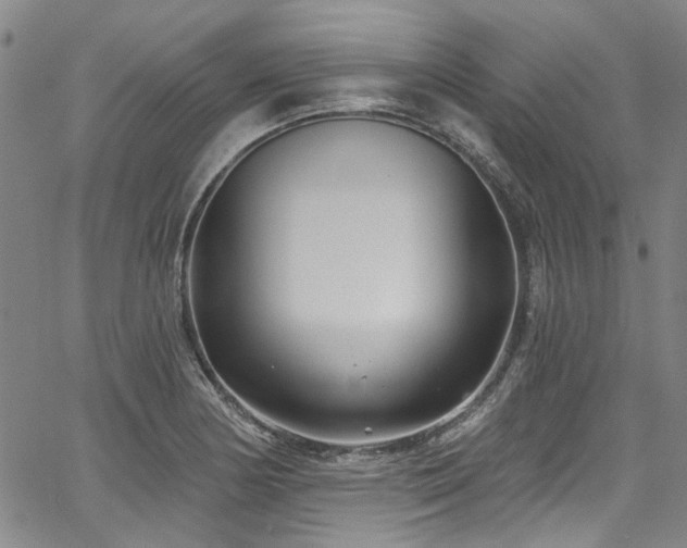 X0000067921178200604131401