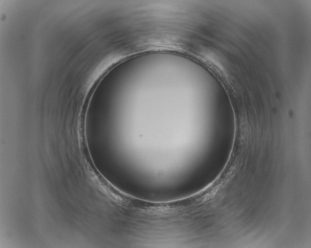X0000067921182200604131401