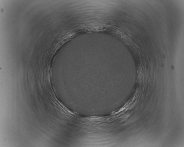 X0000067921202200604131400