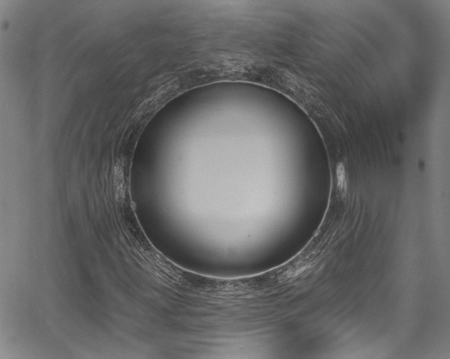 X0000067921203200604131400