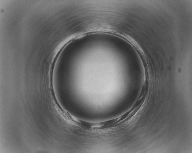 X0000067921246200604131400