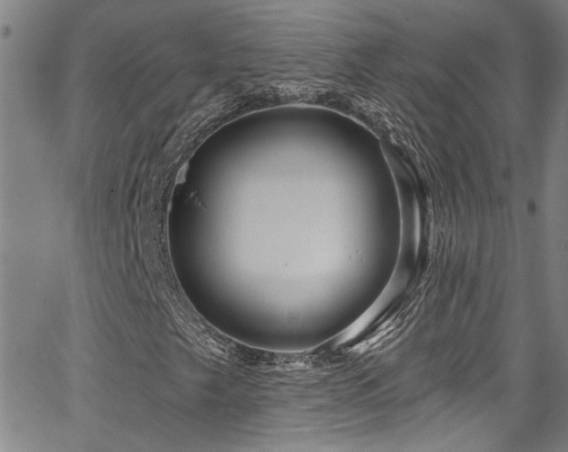X0000067921249200604131400