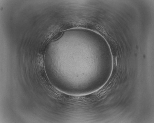 X0000067921251200604131400