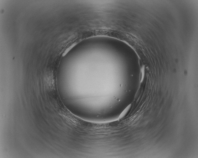 X0000067921252200604131400
