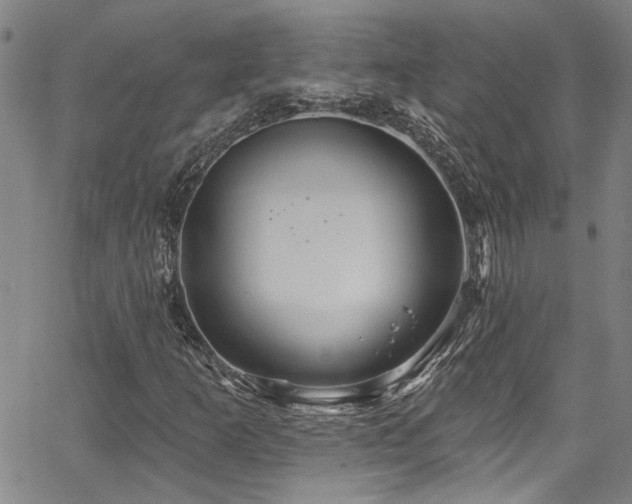 X0000067921253200604131400