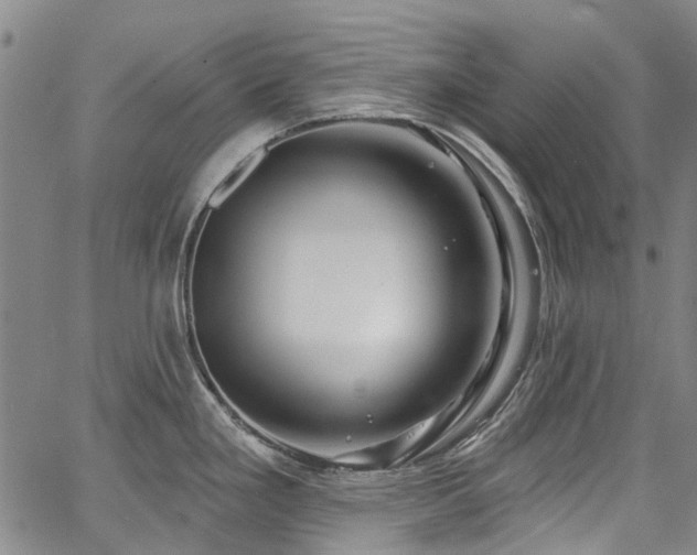 X0000067921293200604131359