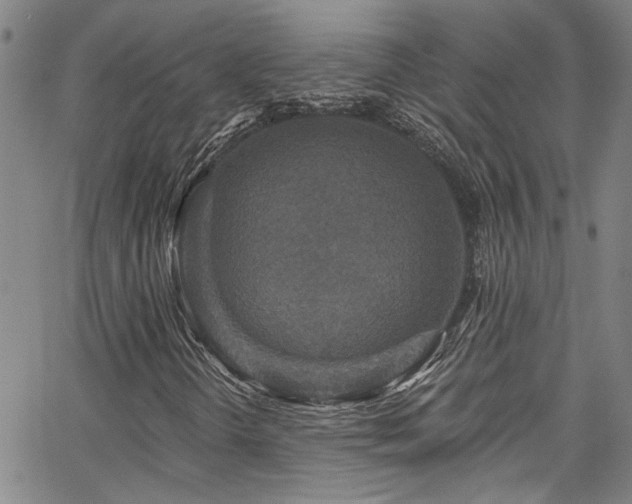 X0000067921298200604131358