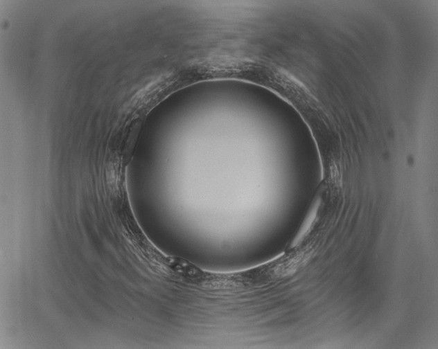 X0000067921300200604131358