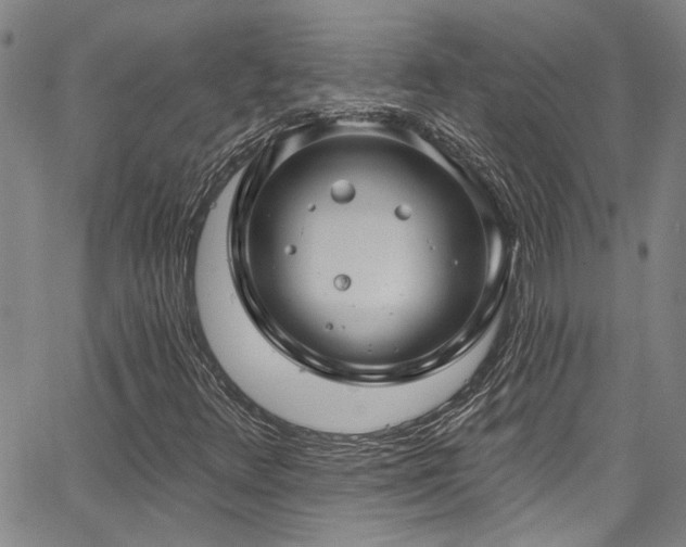 X0000067921348200604131358
