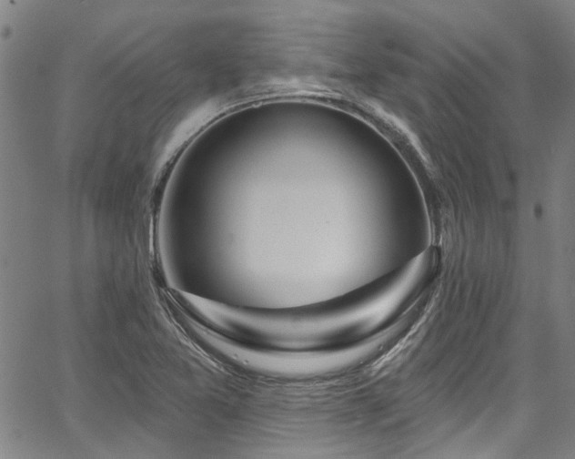 X0000067921365200604131358