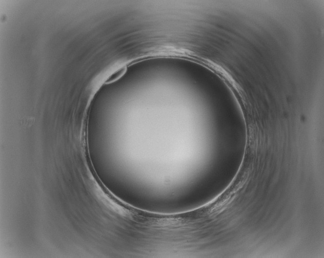X0000067921387200604131357