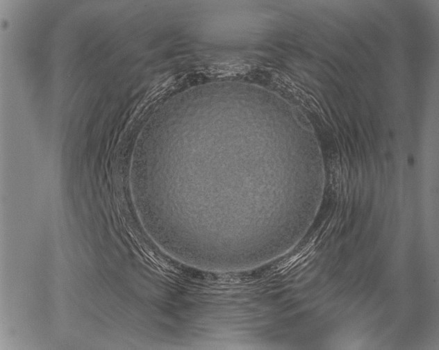 X0000067921393200604131357