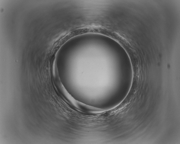 X0000067921398200604131357