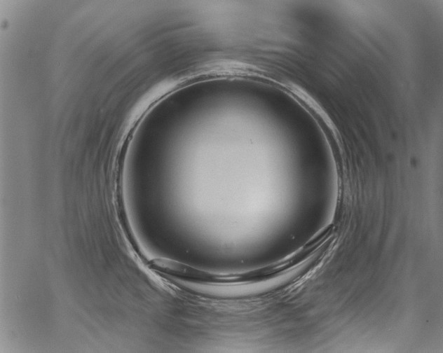 X0000067921437200604131357
