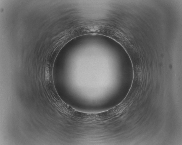 X0000067921442200604131357