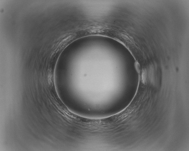 X0000067921444200604131356