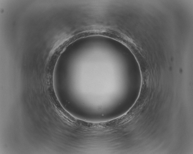 X0000067921448200604131356