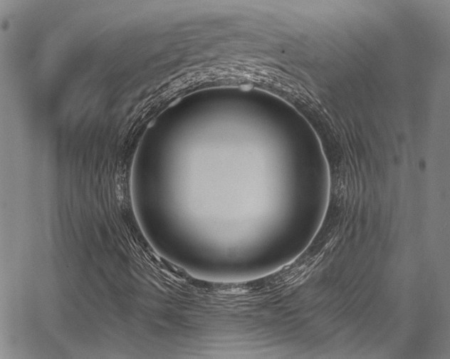 X0000067921490200604131355