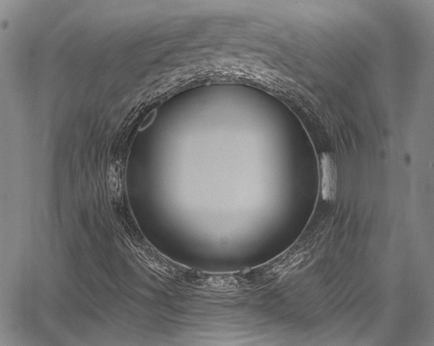 X0000067921491200604131355