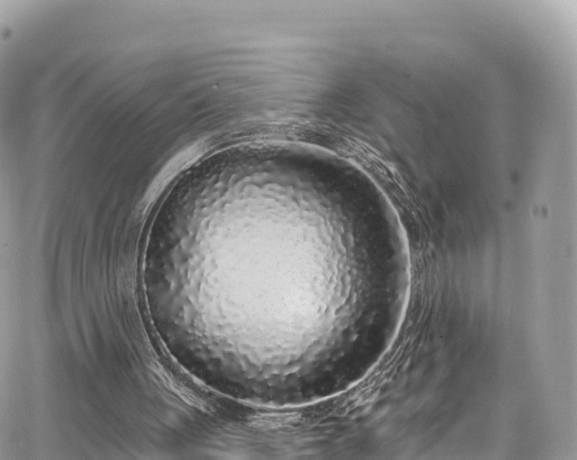 X0000067920051200604171414