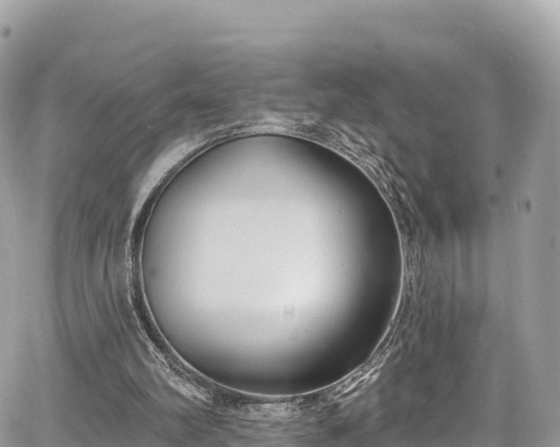 X0000067920102200604171414