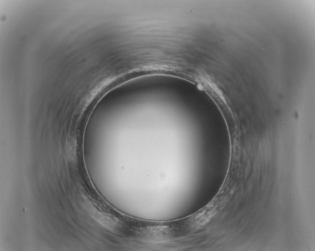 X0000067920108200604171414