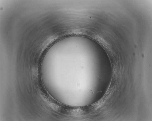X0000067920112200604171414