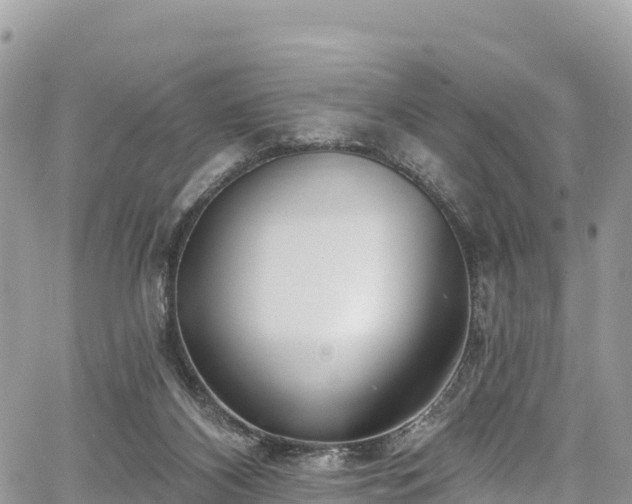 X0000067920116200604171413