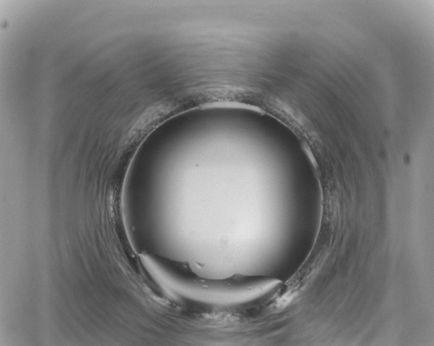 X0000067920117200604171413