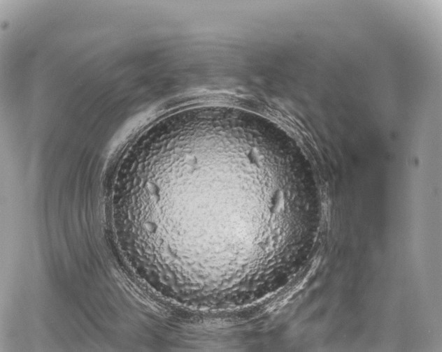 X0000067920149200604171412