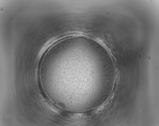 X0000067920151200604171412