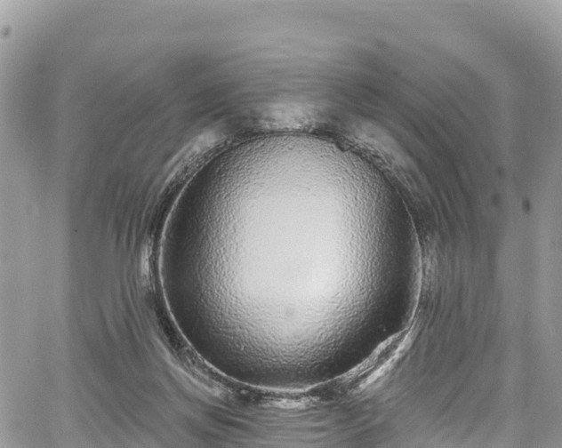 X0000067920166200604171413