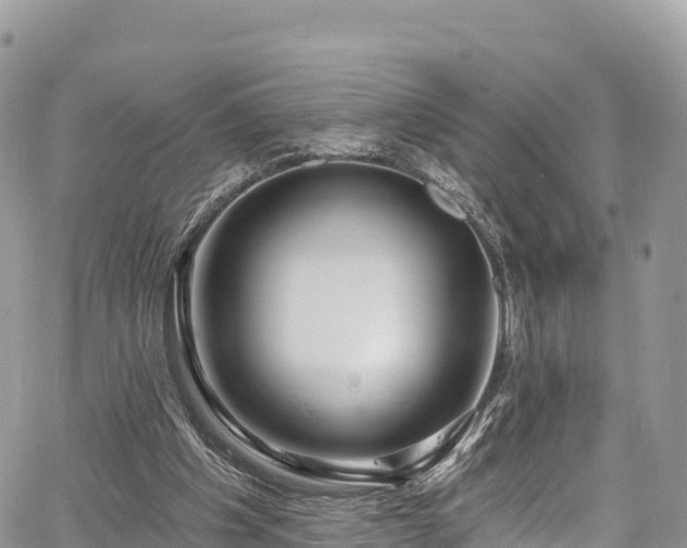 X0000067920201200604171412