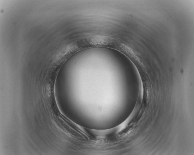 X0000067920211200604171412