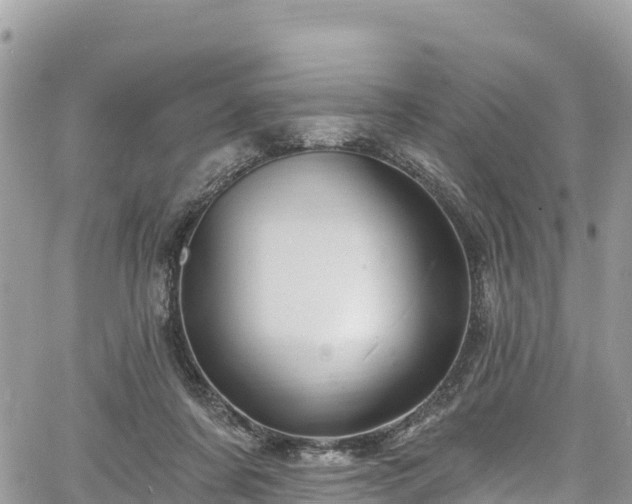 X0000067920311200604171410