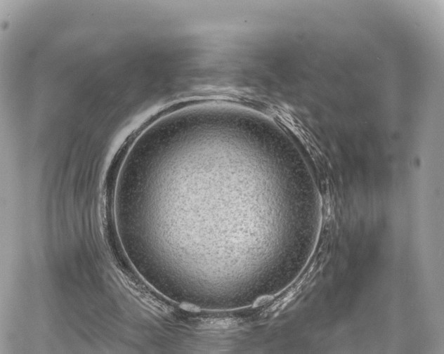 X0000067920342200604171409