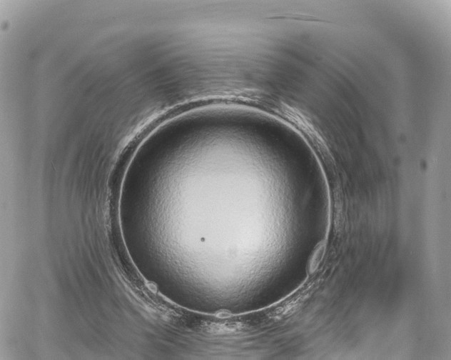X0000067920346200604171409