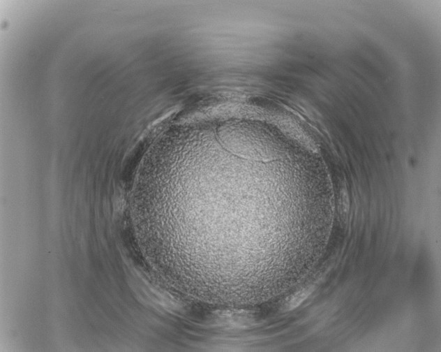 X0000067920367200604171410