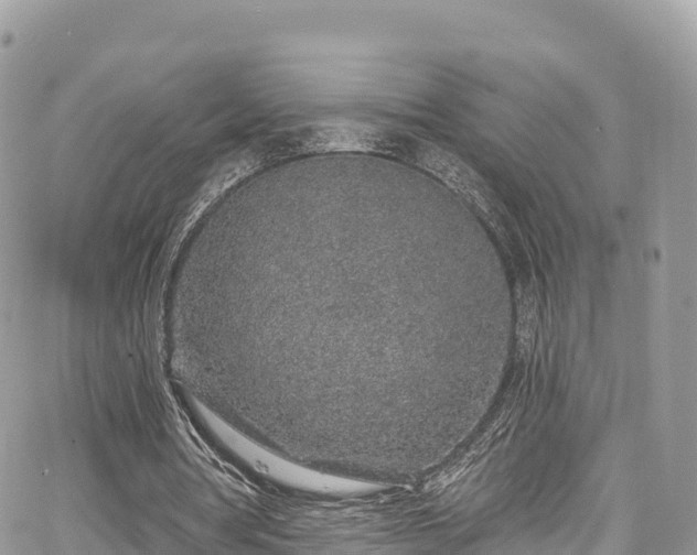 X0000067920386200604171409