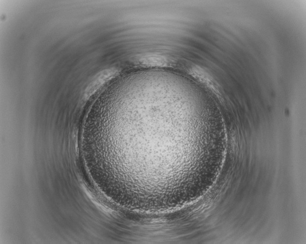 X0000067920398200604171409
