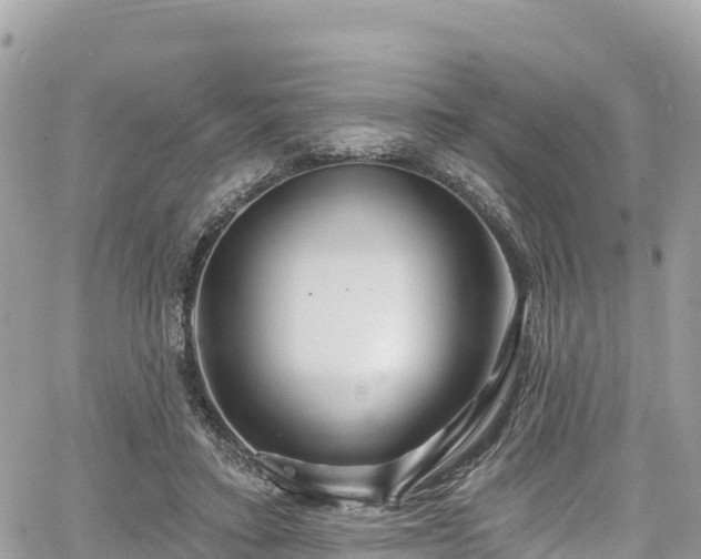 X0000067920403200604171409