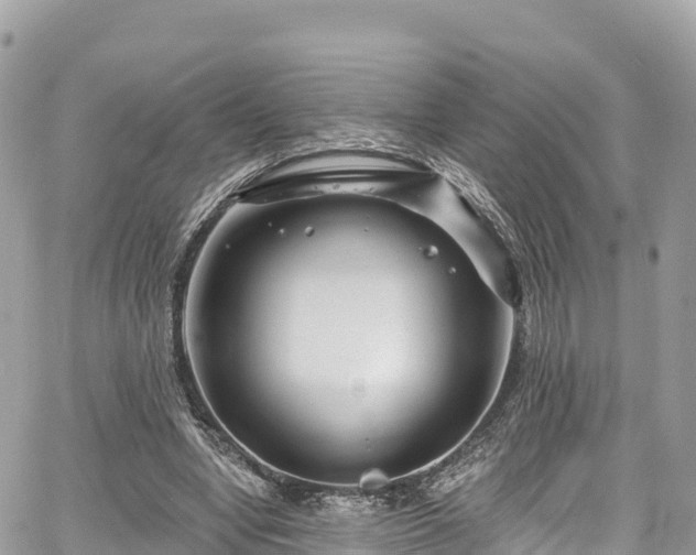 X0000067920442200604171408